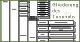 Gliederung des Tierreichs